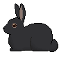 456f11e6-6f9f-11e6-82df-9bdbe036ba16.gif